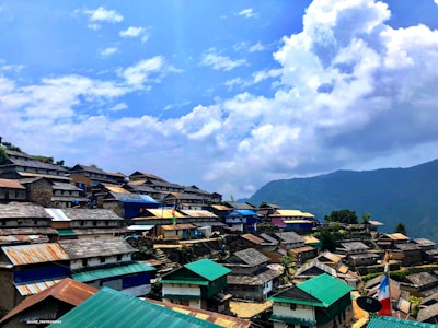 A scenic view of tiny homes in Austin's Art Village project.