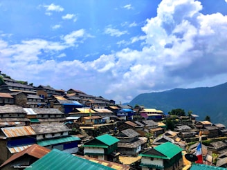 A scenic view of tiny homes in Austin's Art Village project.