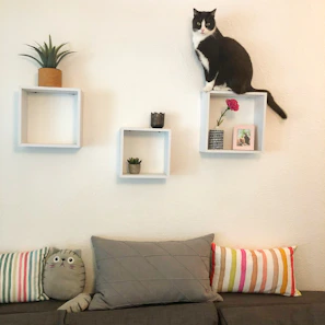 Minimalist cube cat house in melamine board placed stylishly on a modern shelf