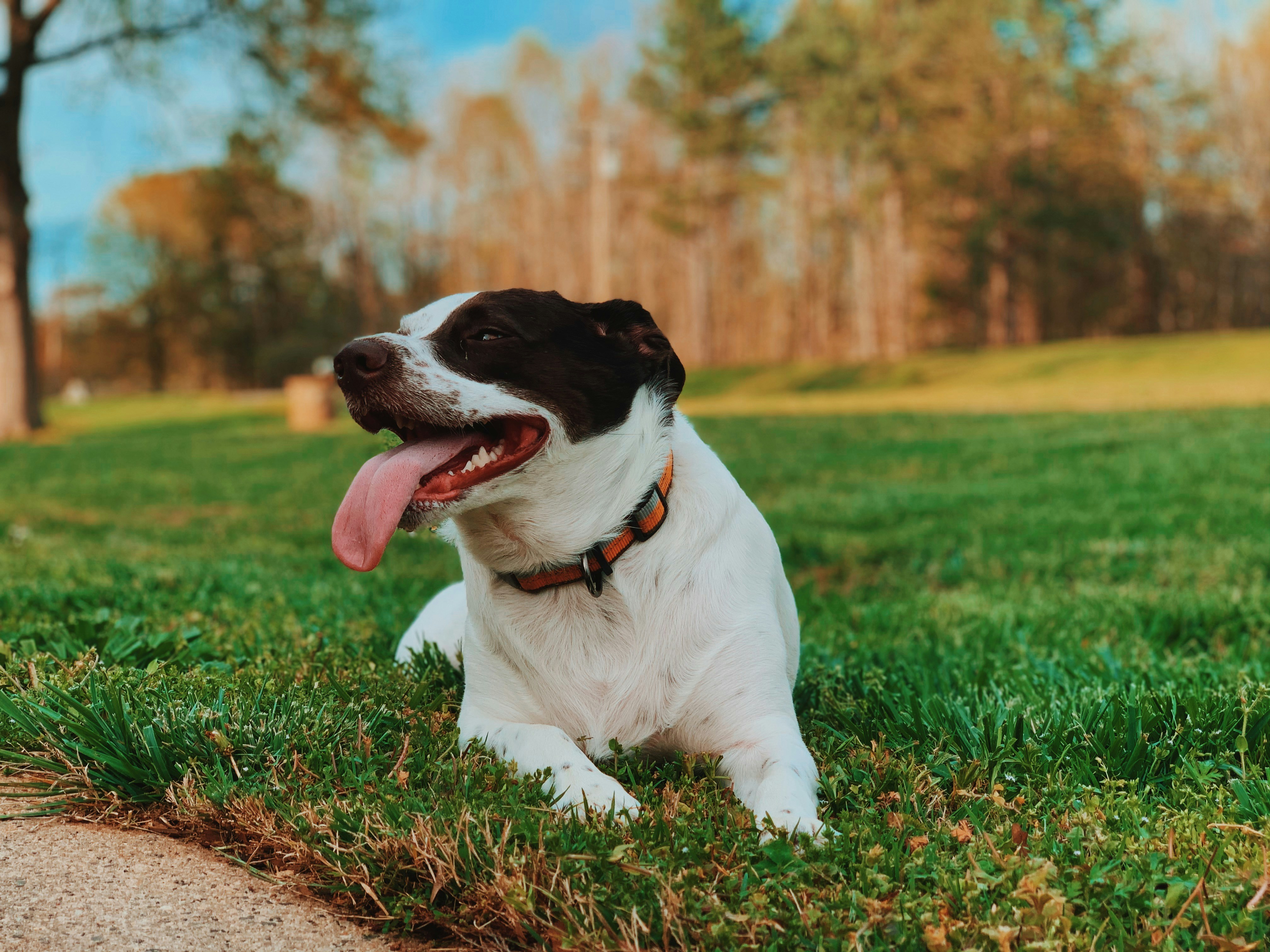 Photo by caseycalhoun