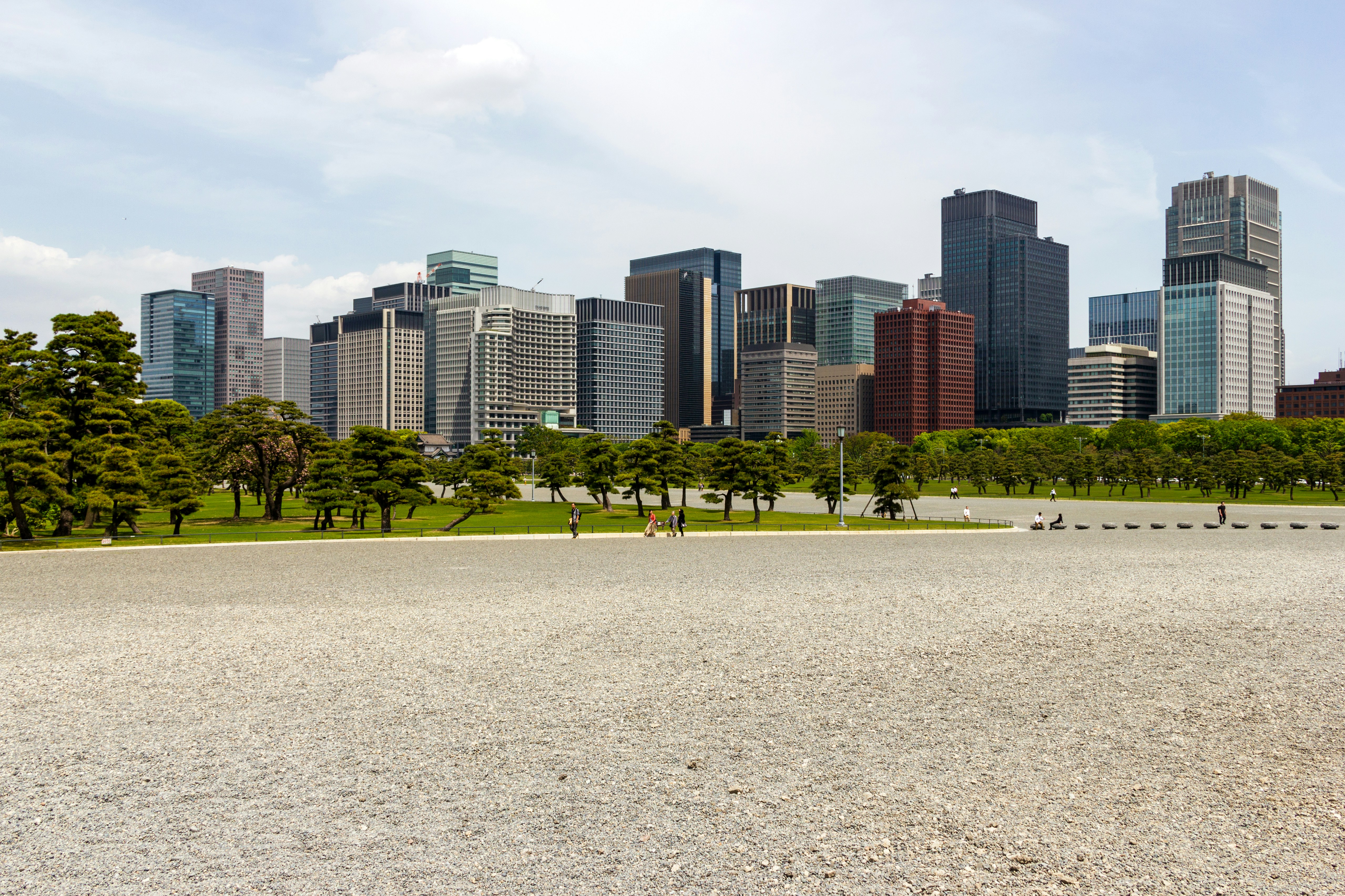 green trees near city buildings during daytime