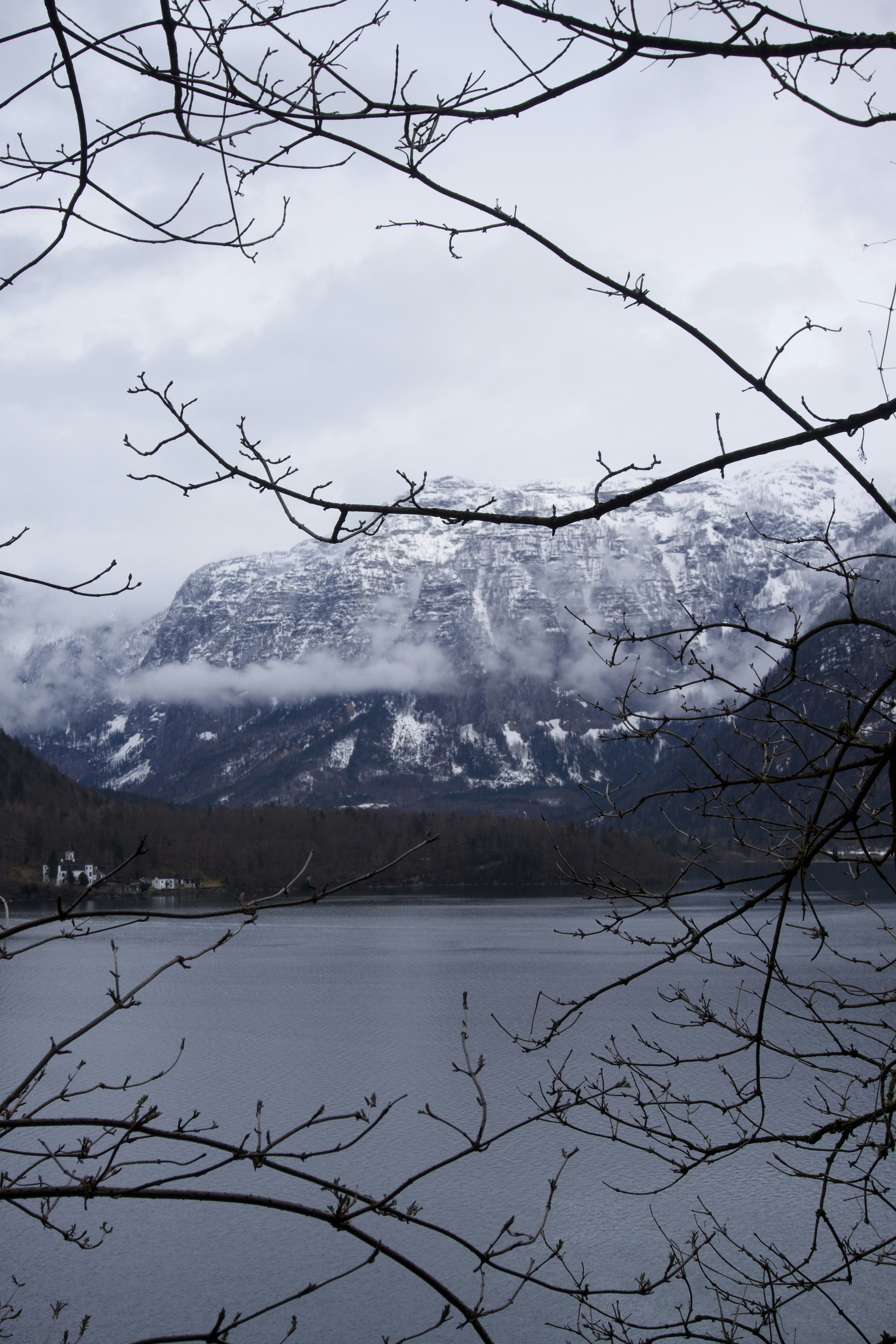 Photo by carloscoronadodr