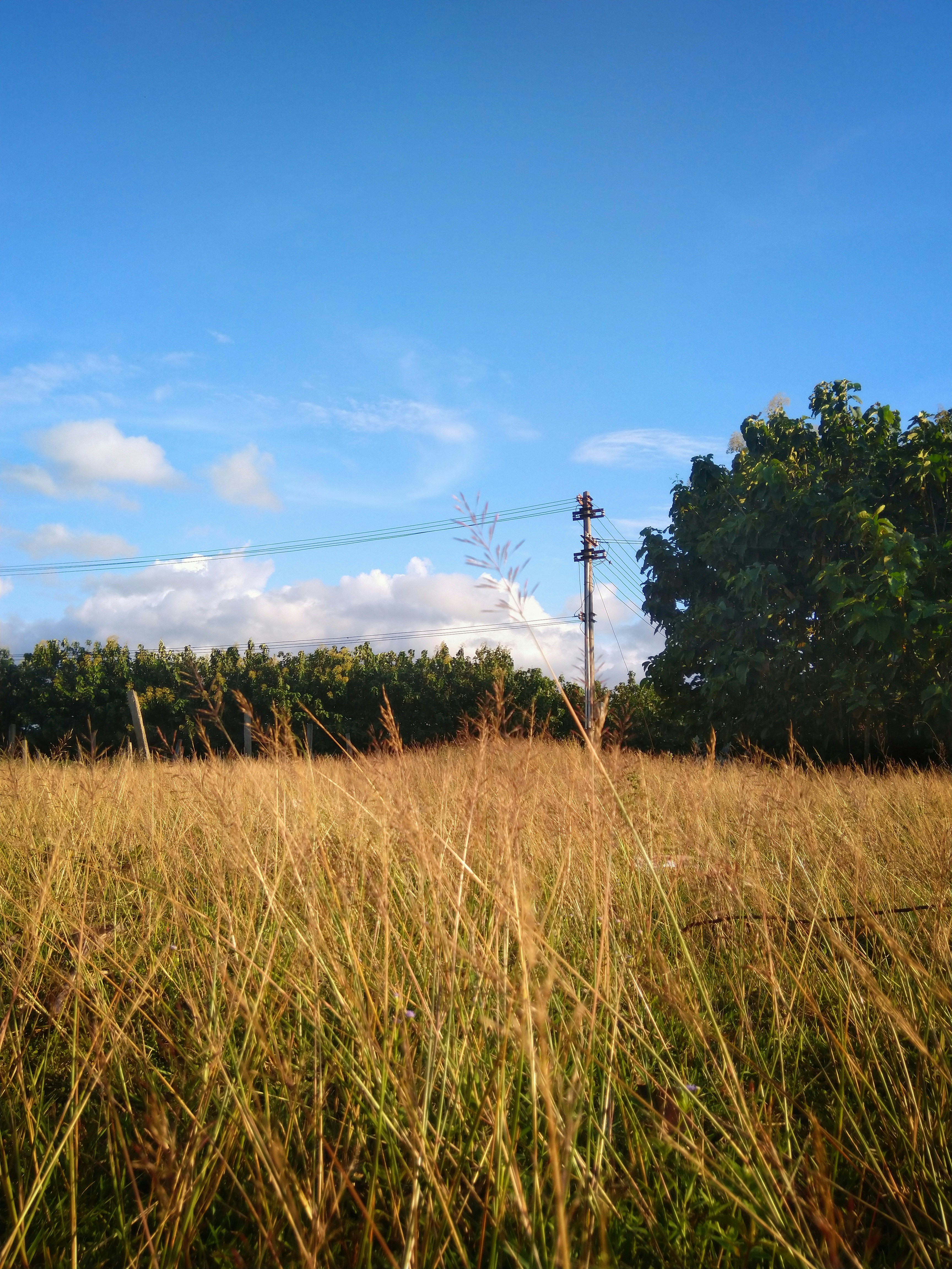Photo by nguyenhuudailoc