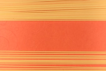 Pasta strands are neatly arranged horizontally against a flat, textured orange backdrop. The parallel lines create a sense of order and symmetry.
