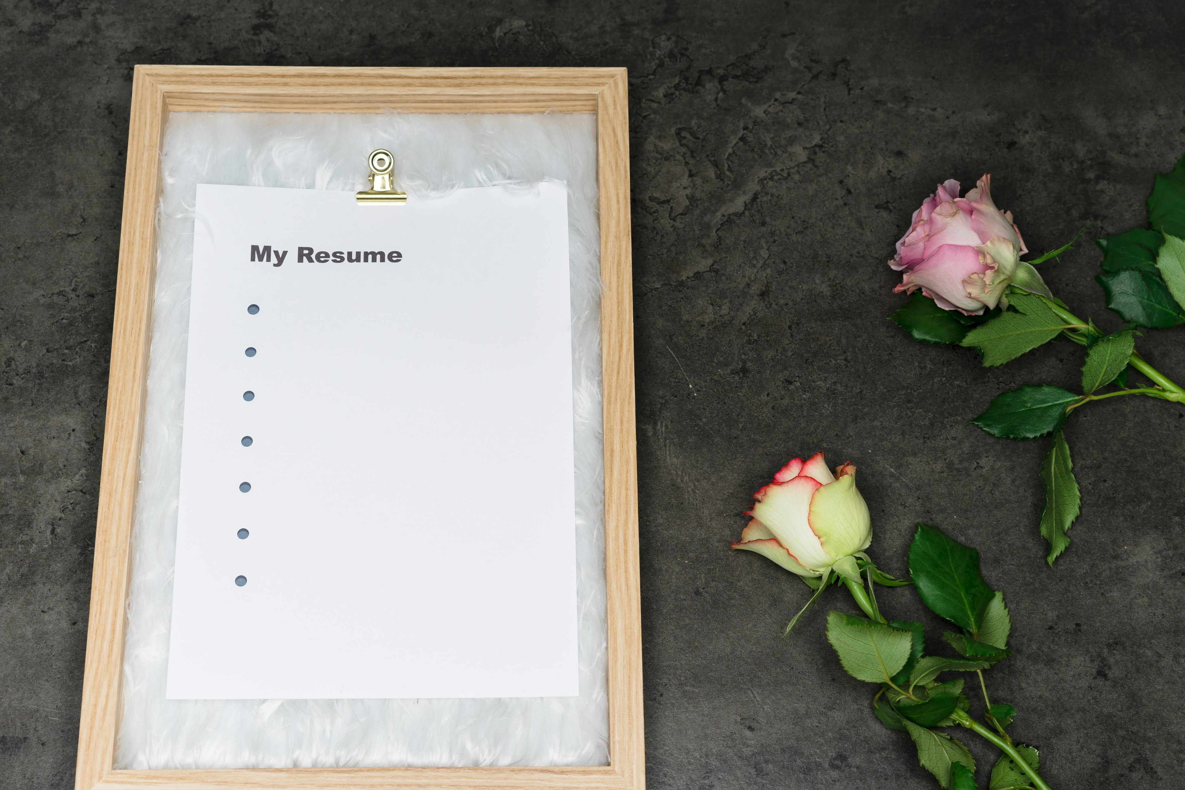 photo 1587287720378 b0280d02e537?ixlib=rb 4.0