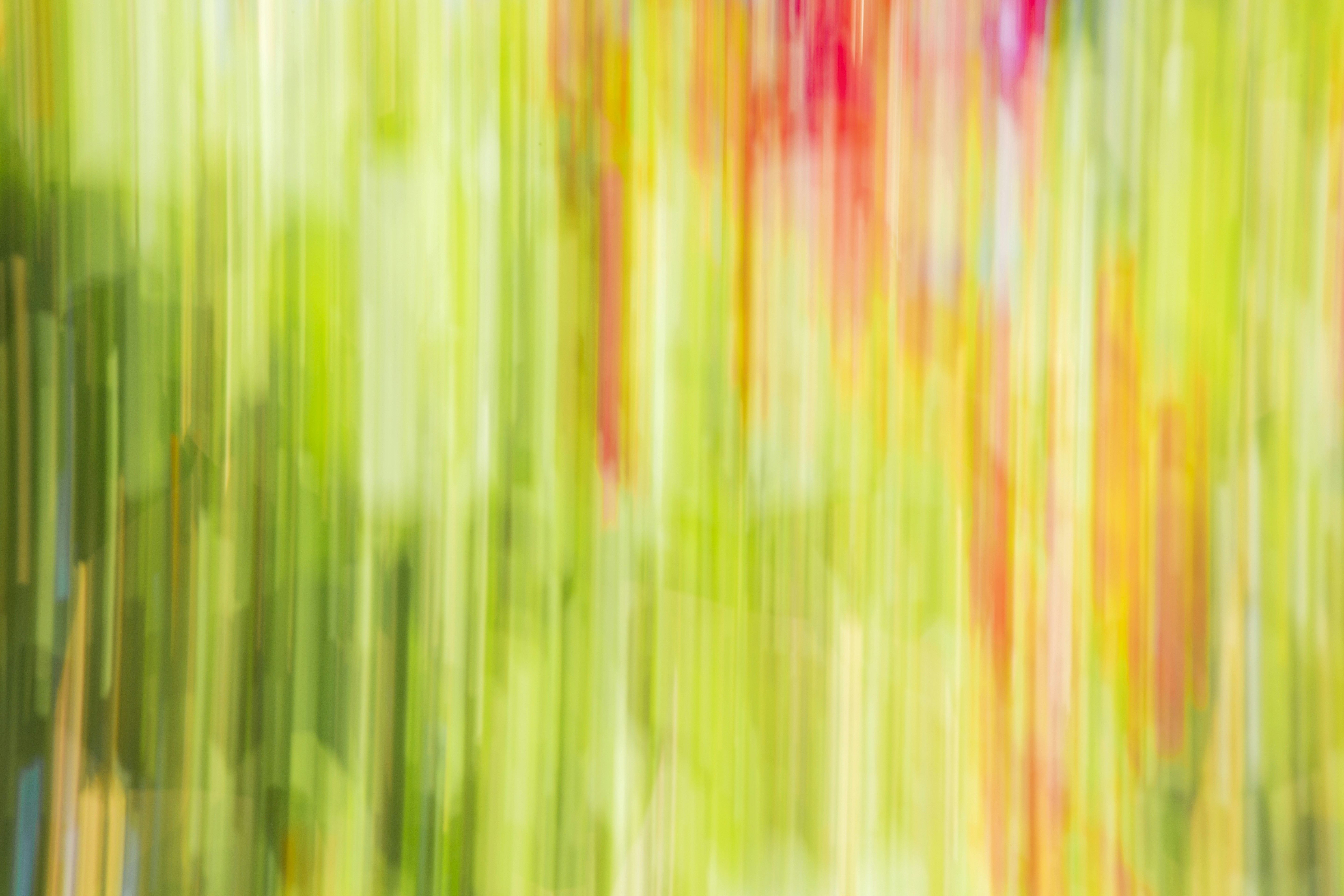 Photo by greenazalea