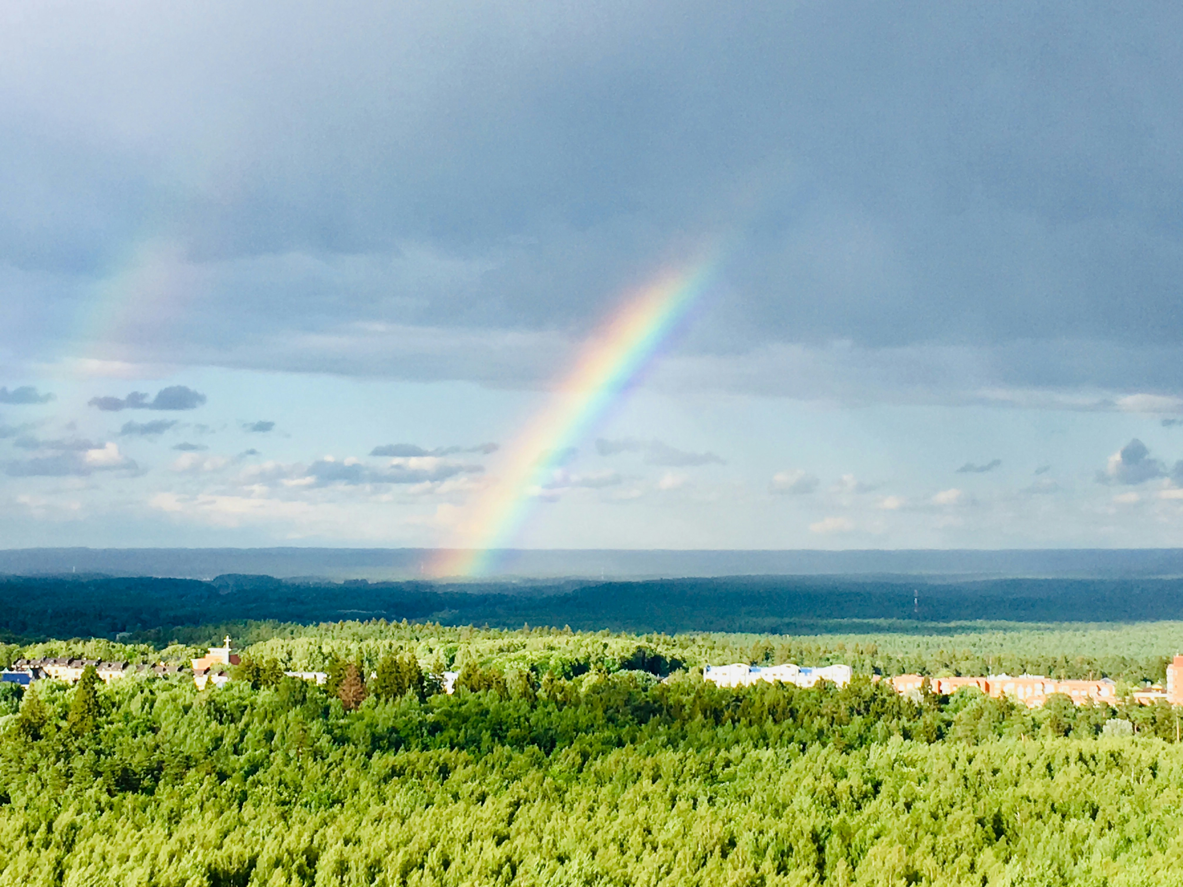 green grass field un