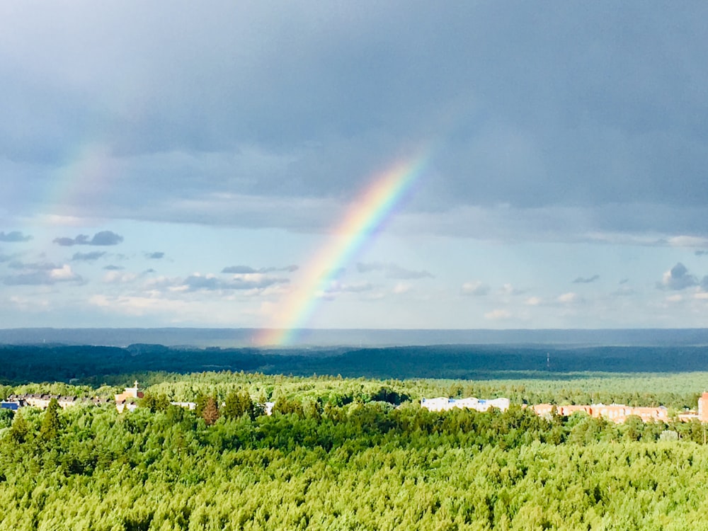 green grass field under rainbow