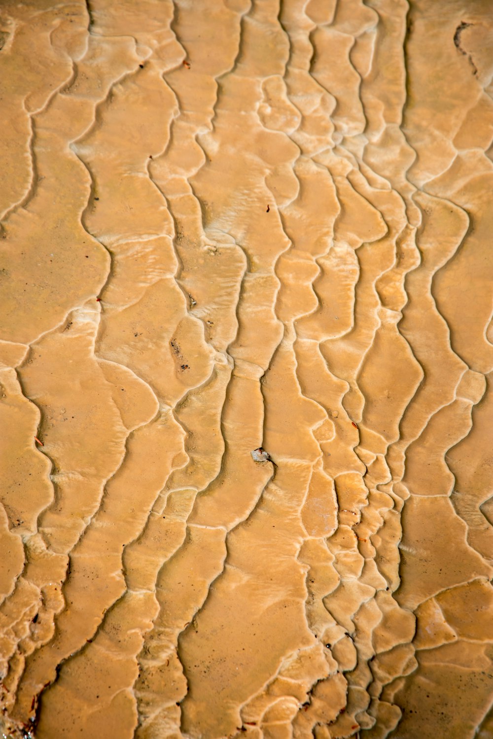 brown sand with water droplets