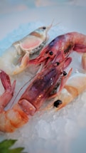 Several raw prawns are displayed on a bed of crushed ice, highlighting their fresh, glossy shells with shades of pink and white. The setting suggests a seafood market or preparation for a gourmet meal.