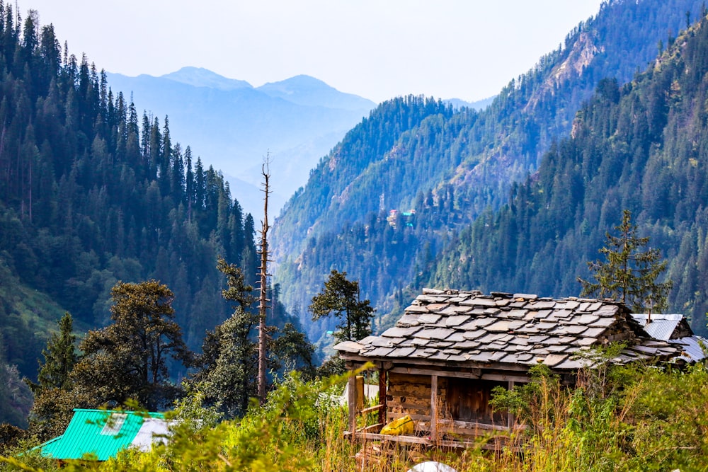 brown wooden house on green grass field near green trees and mountains during daytime