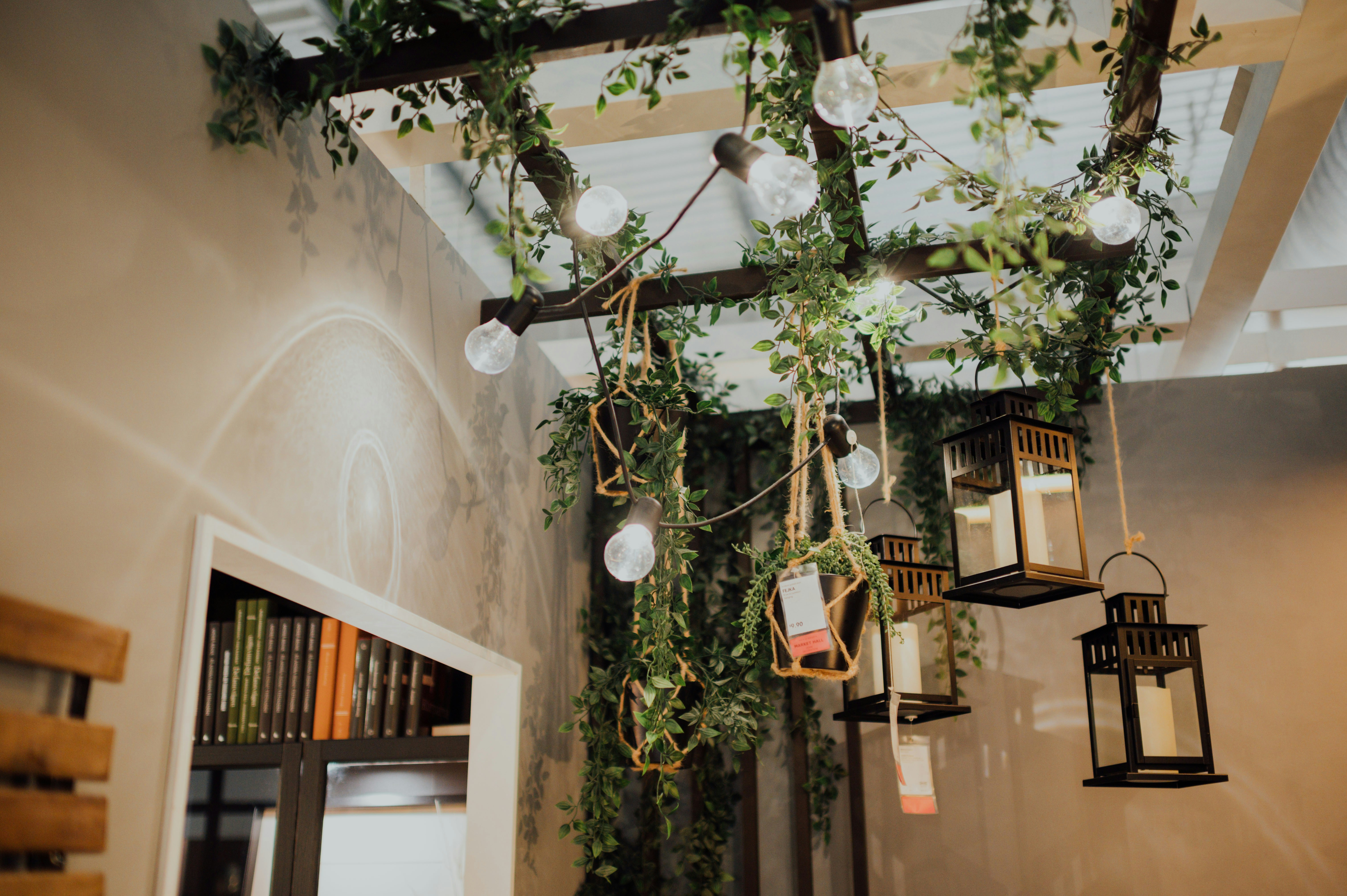 Photo by chuttersnap