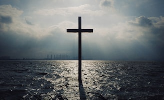 brown wooden cross on beach during daytime