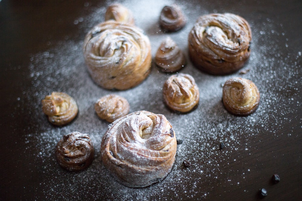 six brown and beige sea shells