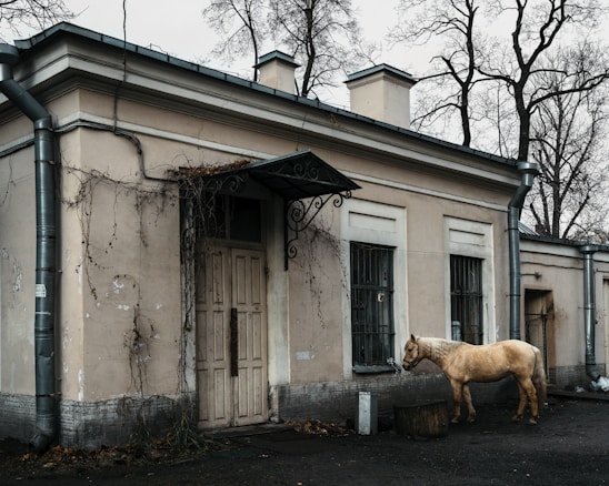 A light brown horse stands near an old, weathered building with barred windows and a door covered in peeling paint. The building is surrounded by bare trees and has a rustic, abandoned appearance. Vines cling to the walls, and there is a wooden barrel near the horse.