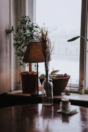 Sunlit windowsill with bottles of natural oils and green plants softly glowing in warm afternoon light.