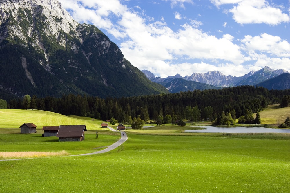 brown wooden bench on green grass field near green trees and mountain during daytime