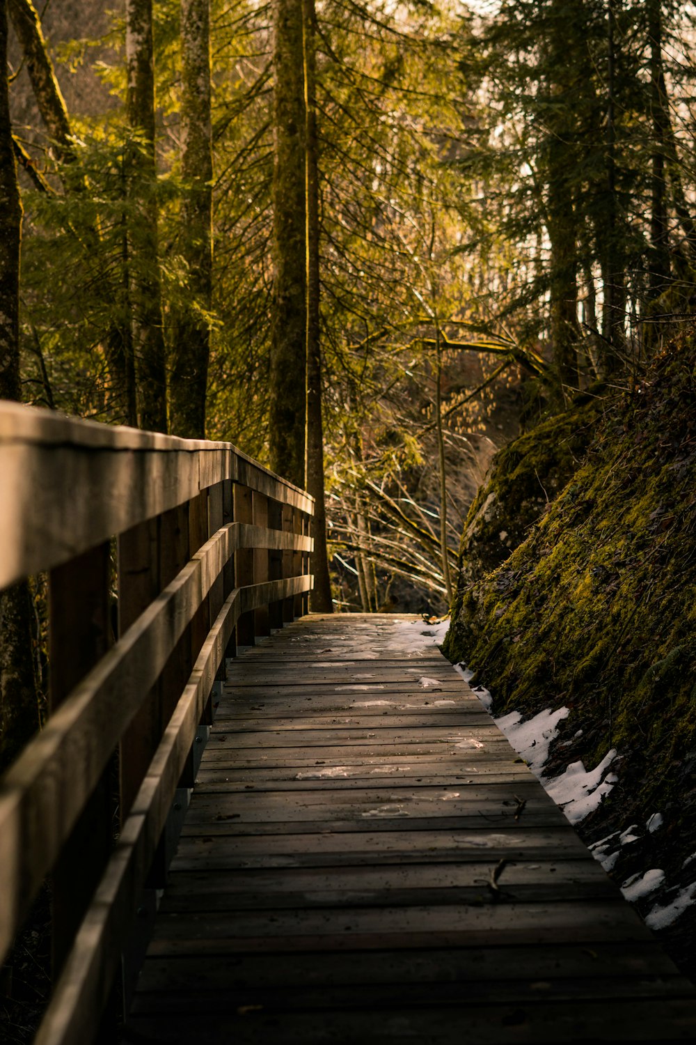 brown wooden bridge in the woods