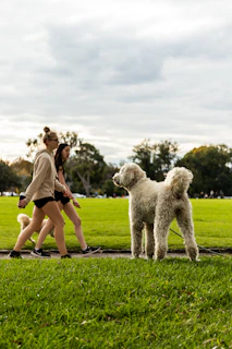 woman in white tank top and black shorts standing beside white poodle on green grass field