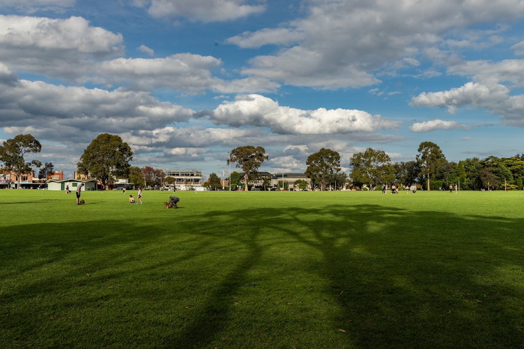 green grass field under blue sky during daytime