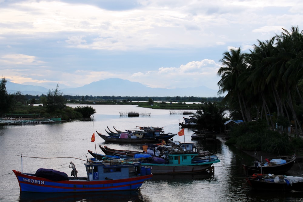 red and blue boat on water during daytime