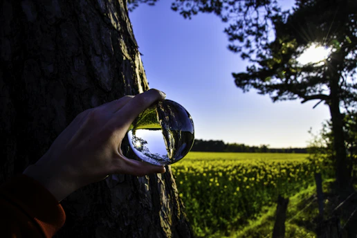 person holding clear glass ball