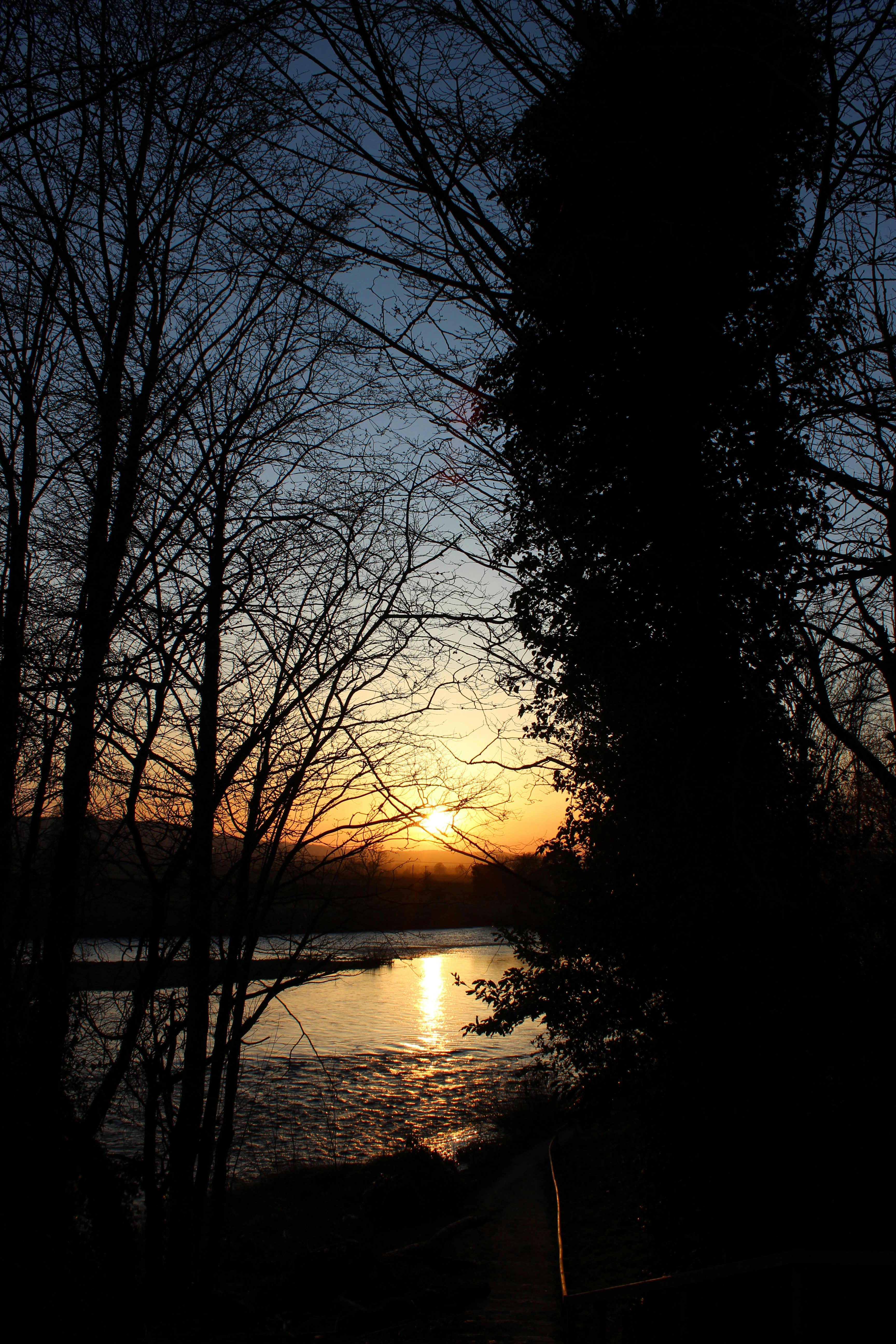 Photo by campfire_guy