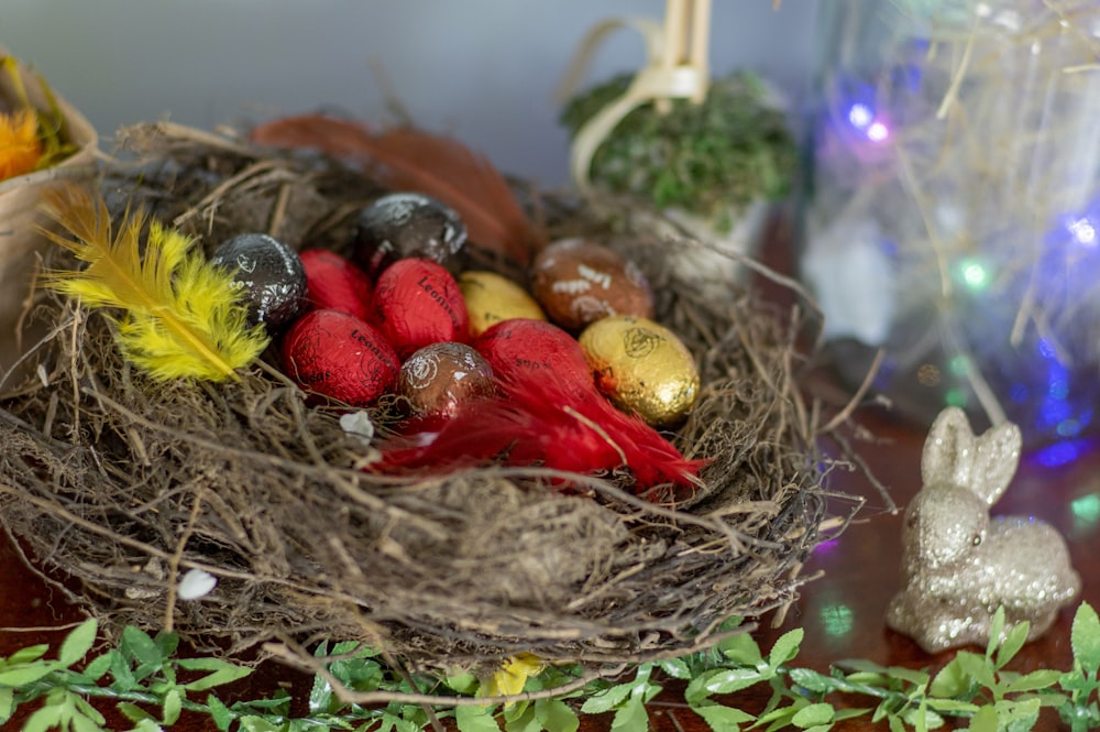 red and yellow bird on nest