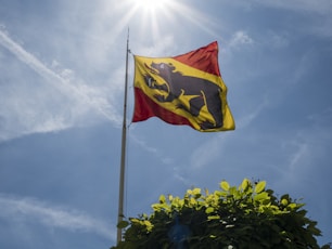 red yellow and blue flag on pole under cloudy sky during daytime