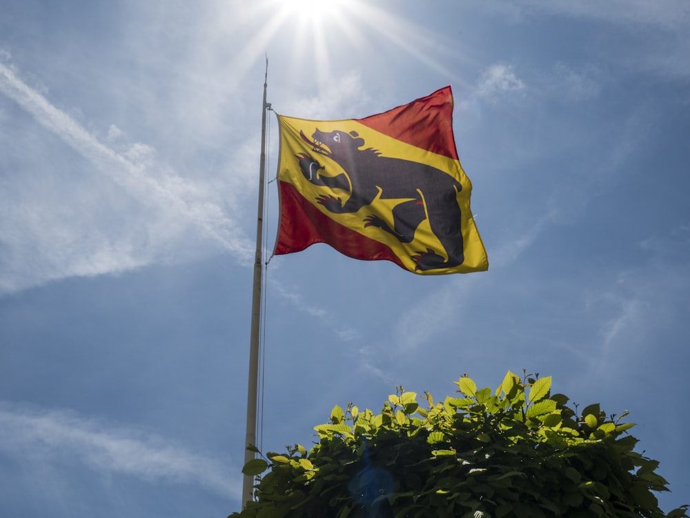 rote gelbe und blaue Flagge auf der Stange unter bewölktem Himmel tagsüber