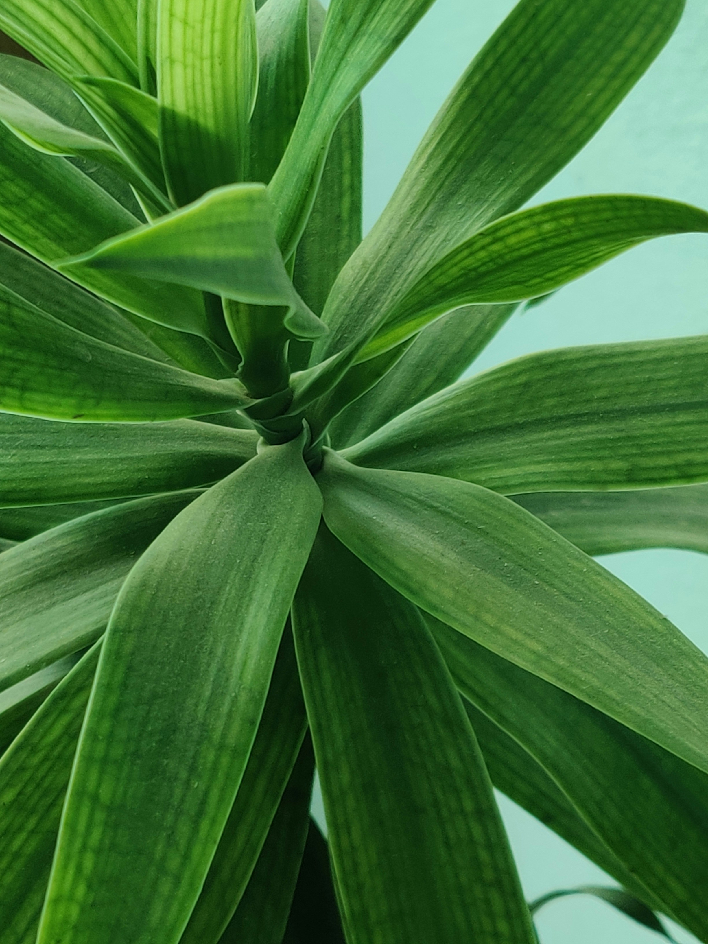 Photo by aman_khandelwal