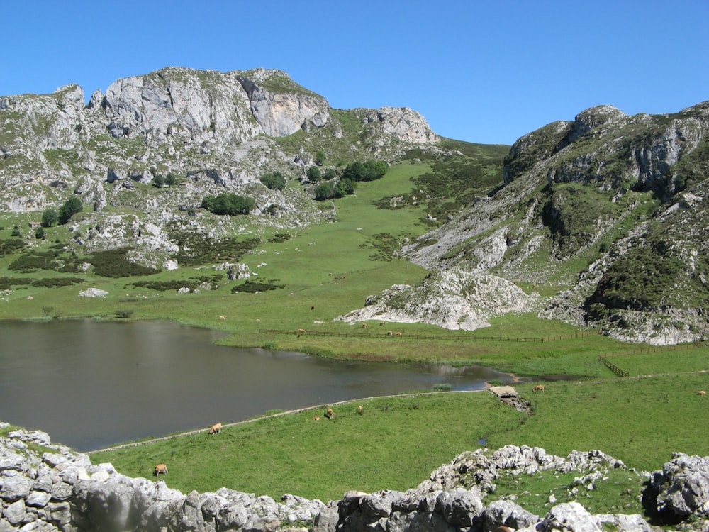 green and gray mountain beside lake under blue sky during daytime