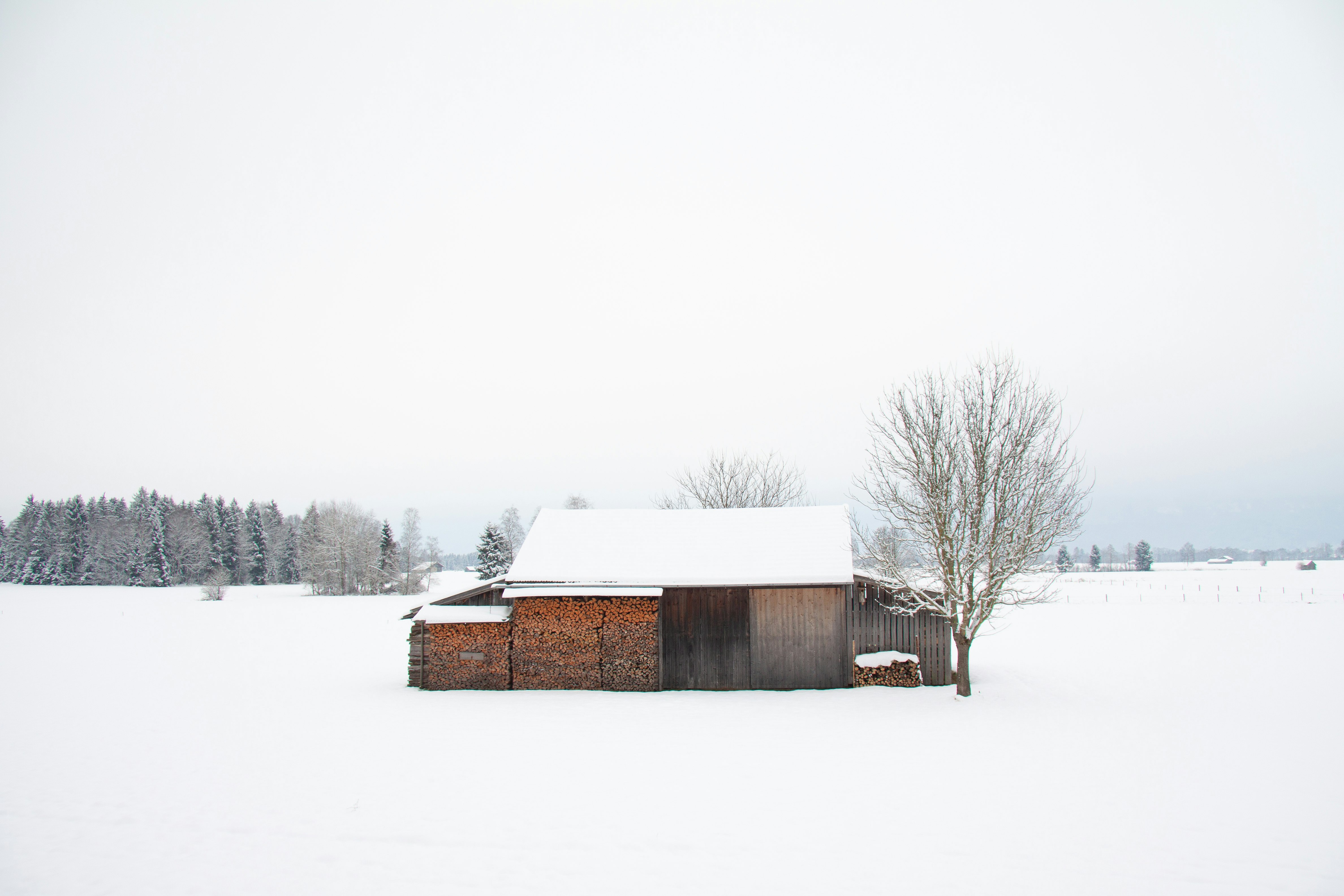 Wood storage and hut in the snow in winter