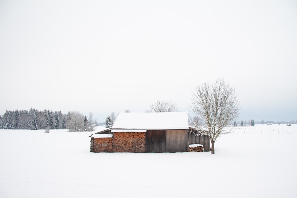 casa marrone coperta di neve durante il giorno