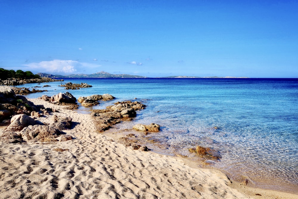 brown sand near blue sea under blue sky during daytime