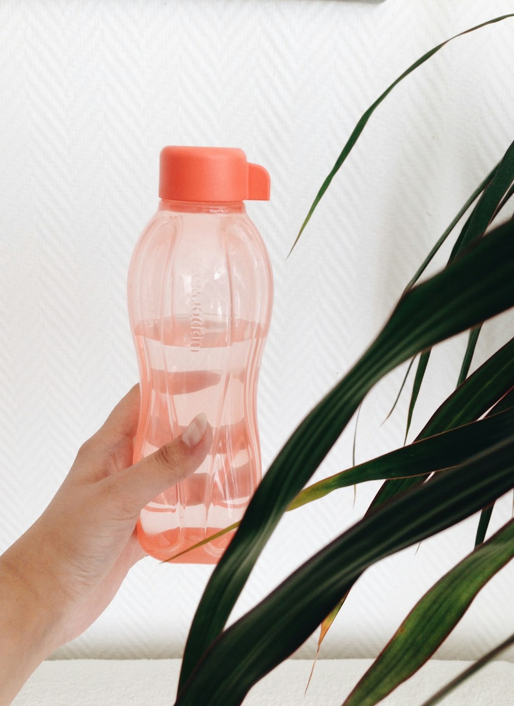 Persona sosteniendo una botella de plástico rosa