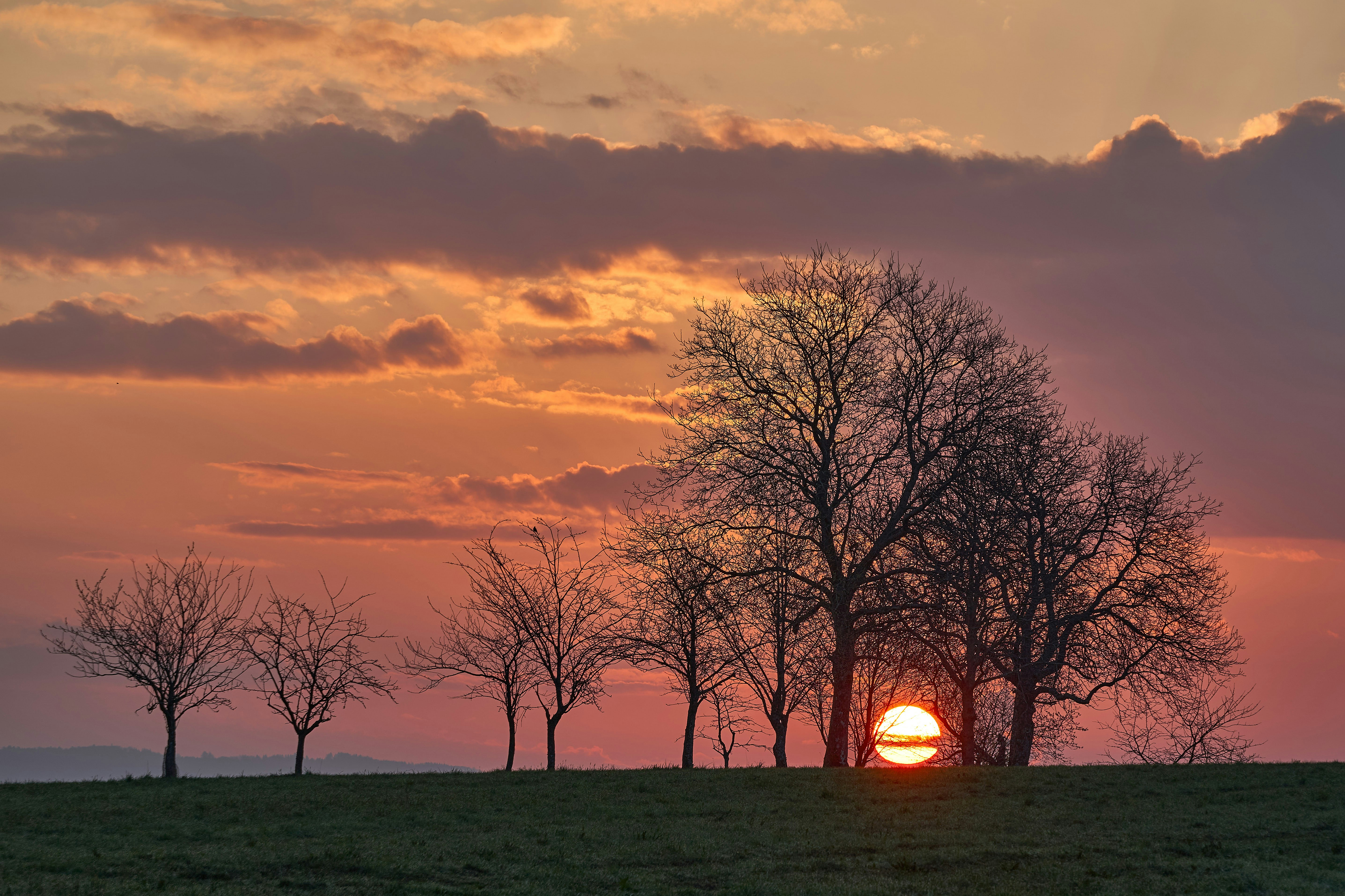 Photo by wolfgang_hasselmann