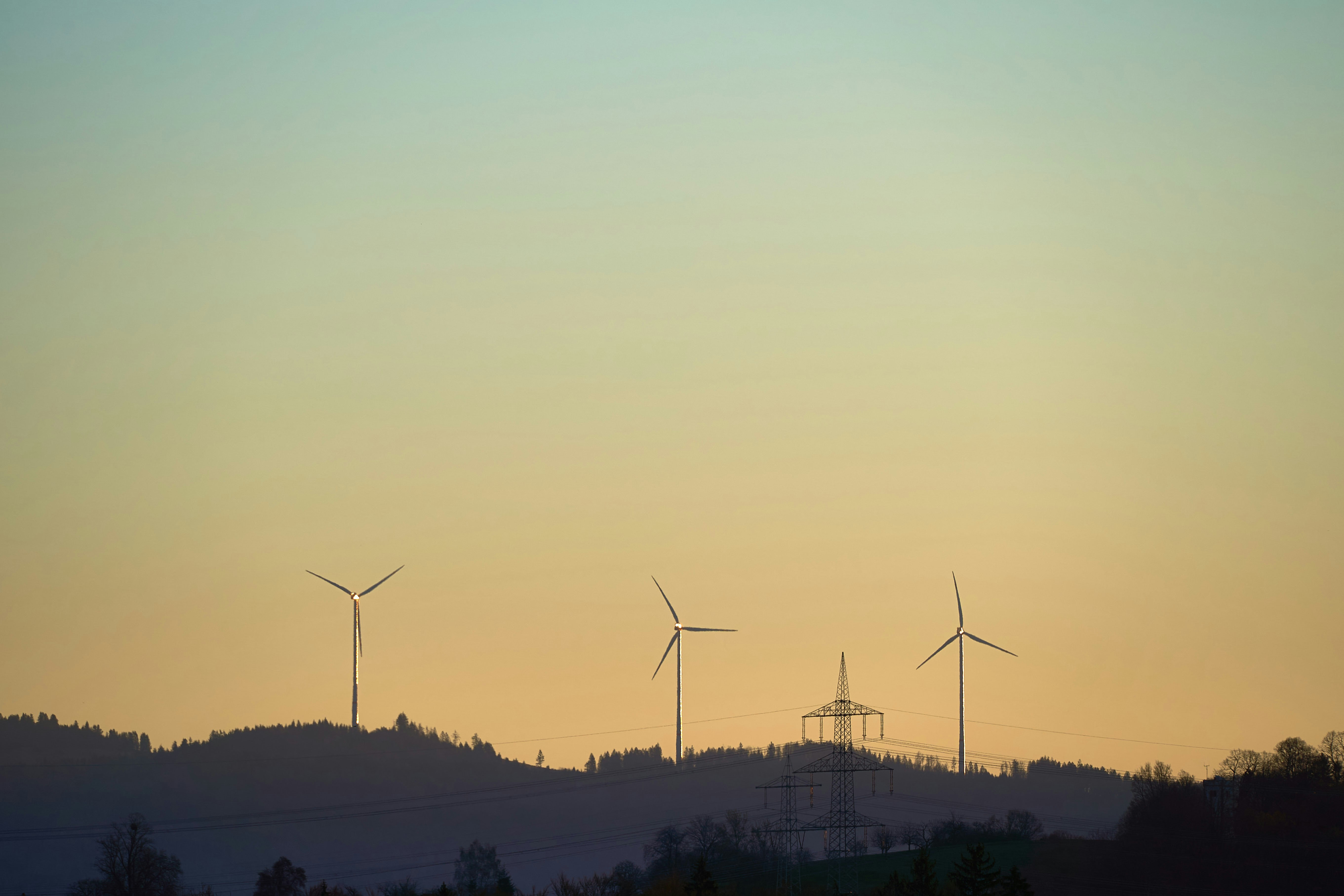 Photo by wolfgang_hasselmann