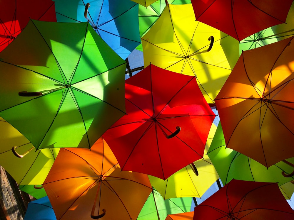 orange umbrella on blue glass