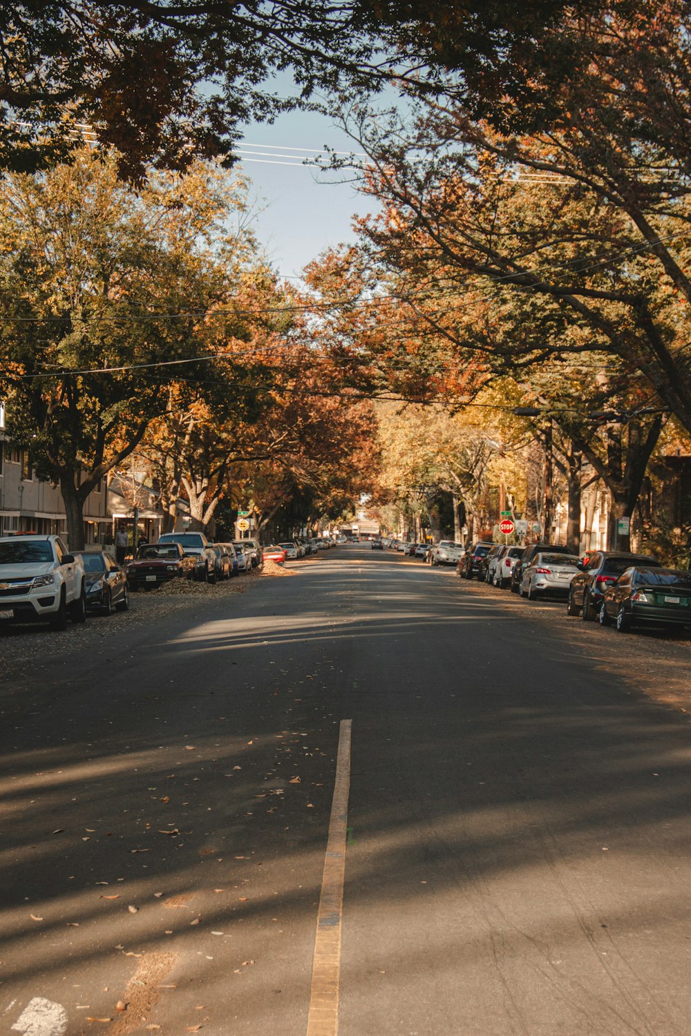 cars parked on side of the road during daytime