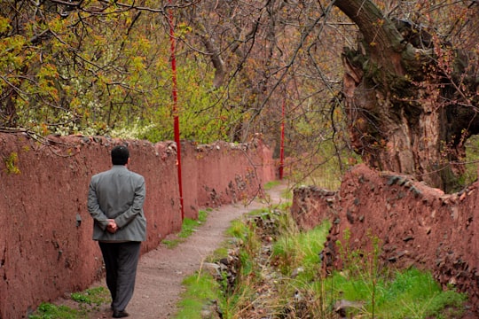 photo of Abyaneh Forest near Agha Bozorg mosque