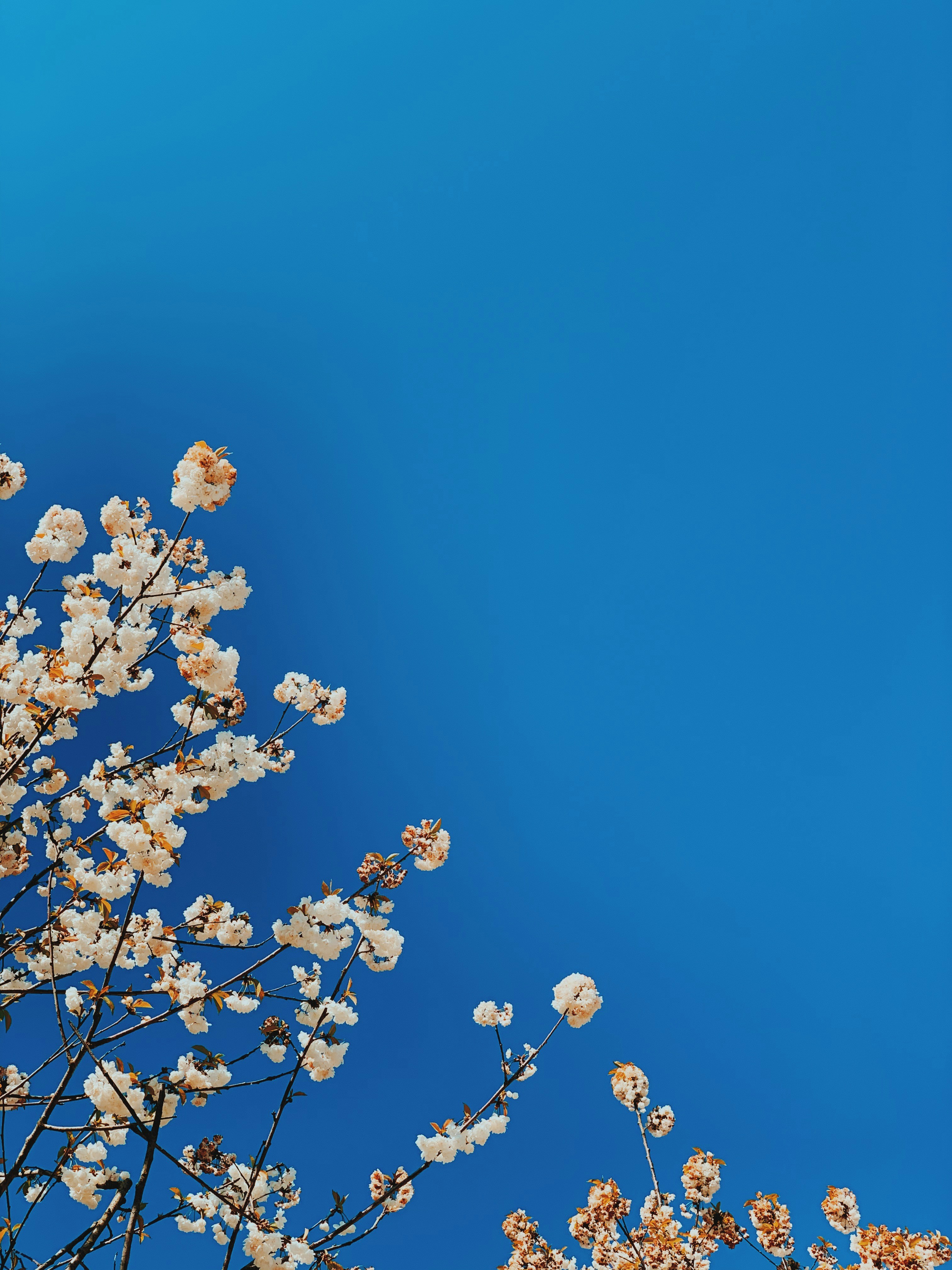 Photo by _adisonclark