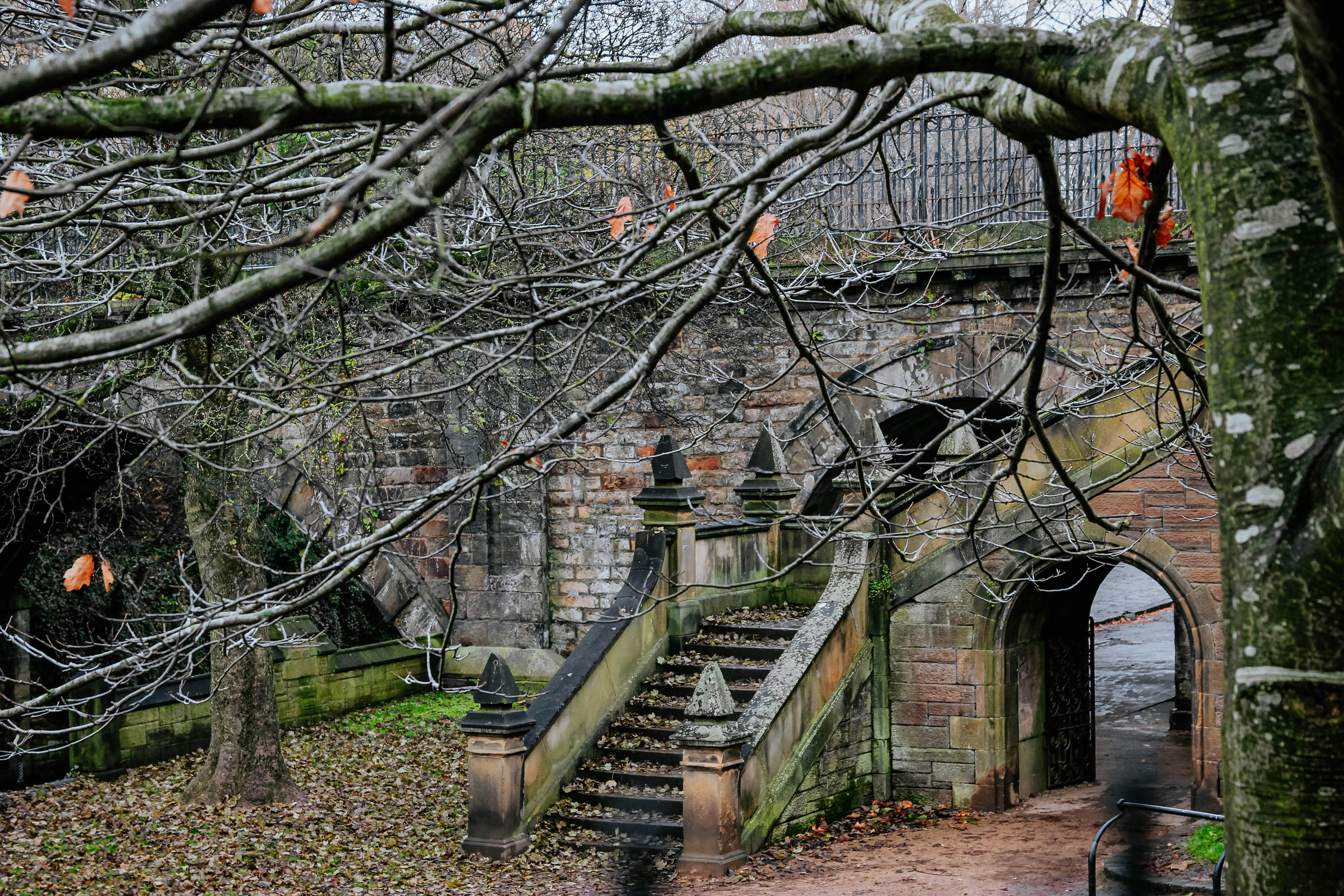 Walking trips in Scotland