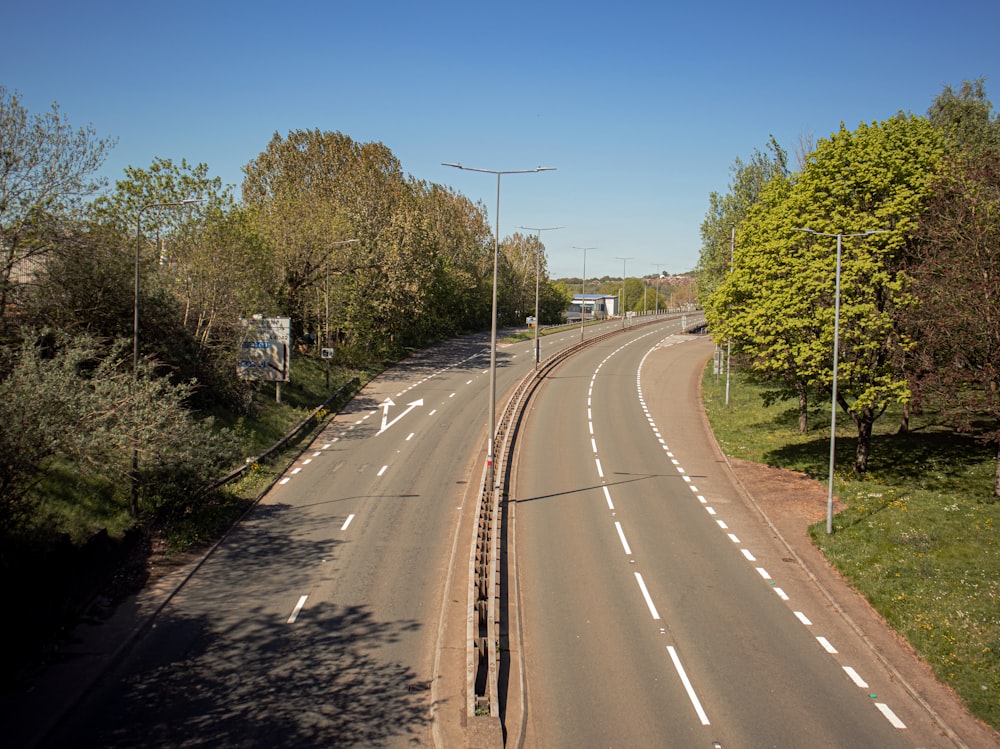 gray concrete road between green trees under blue sky during daytime