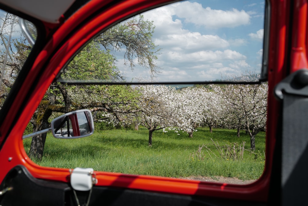 red car near green grass field during daytime