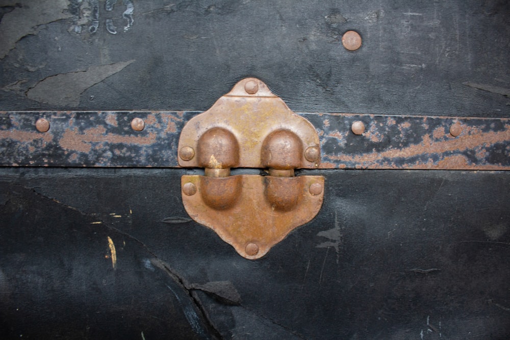 Pomello della porta in acciaio dorato su porta in legno nero