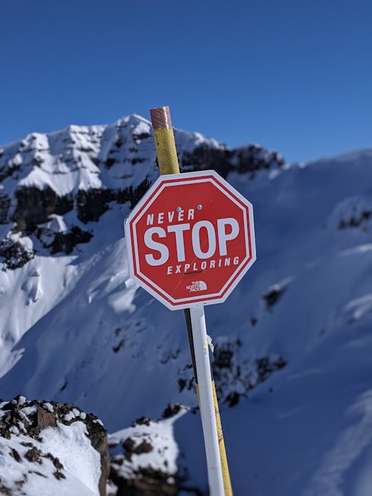 red and white stop sign in Chapelco Argentina