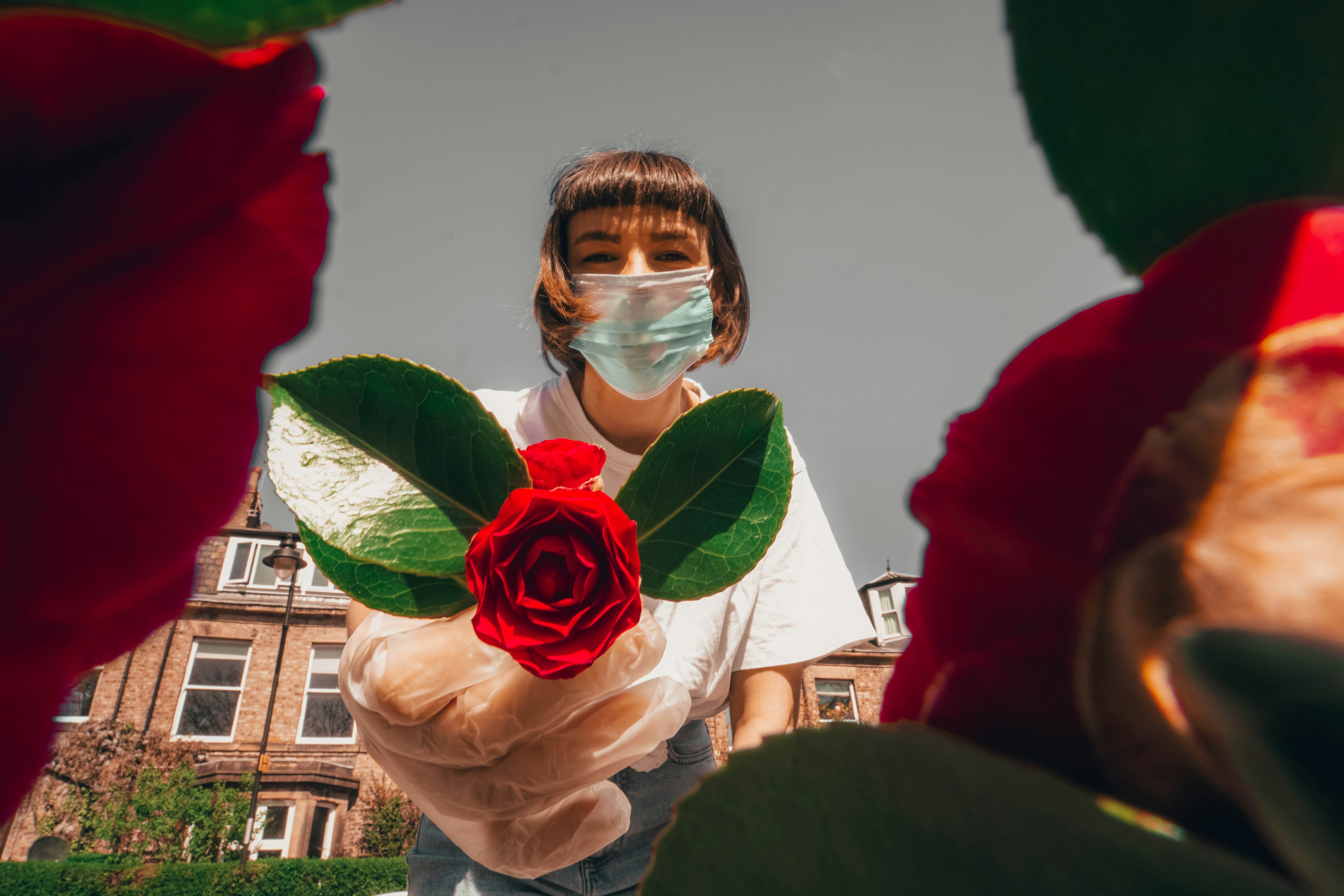 woman in white long sleeve shirt holding red rose