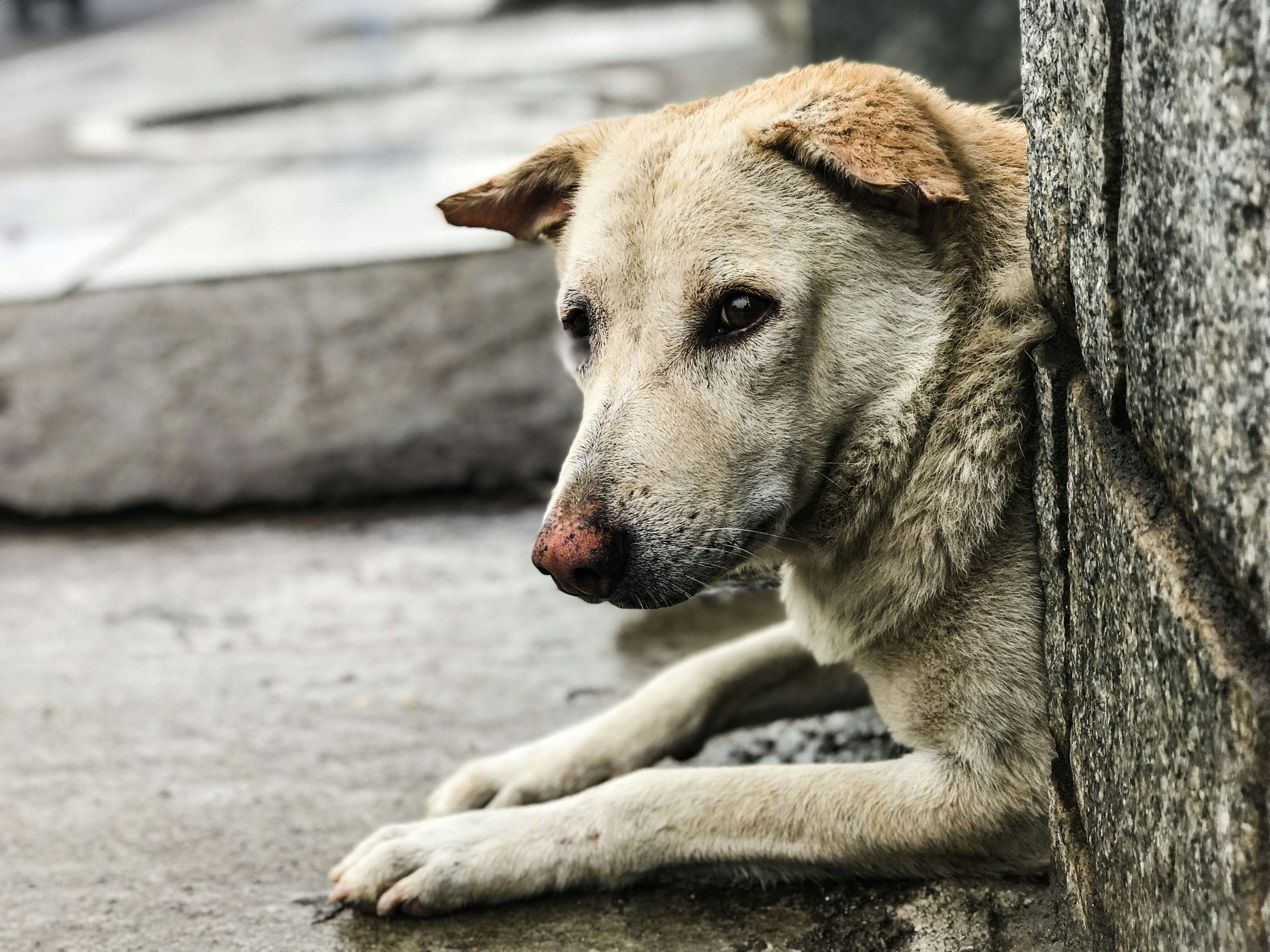 Photo by syedmohdali121