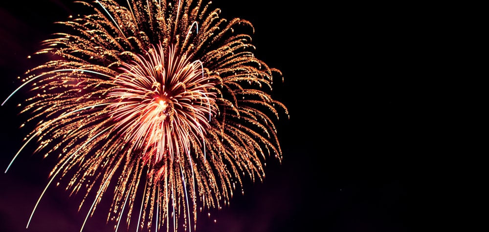 red and white fireworks display